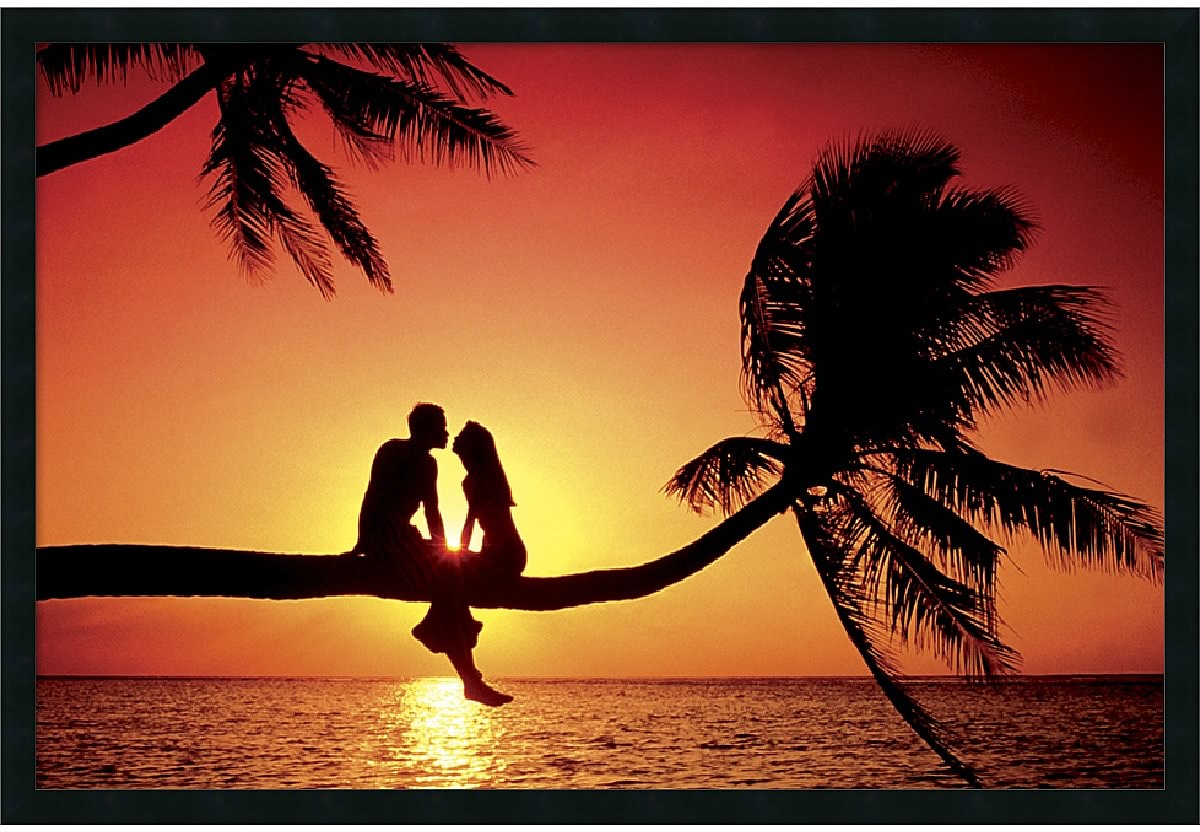 37x25 Summer Love Framed Print